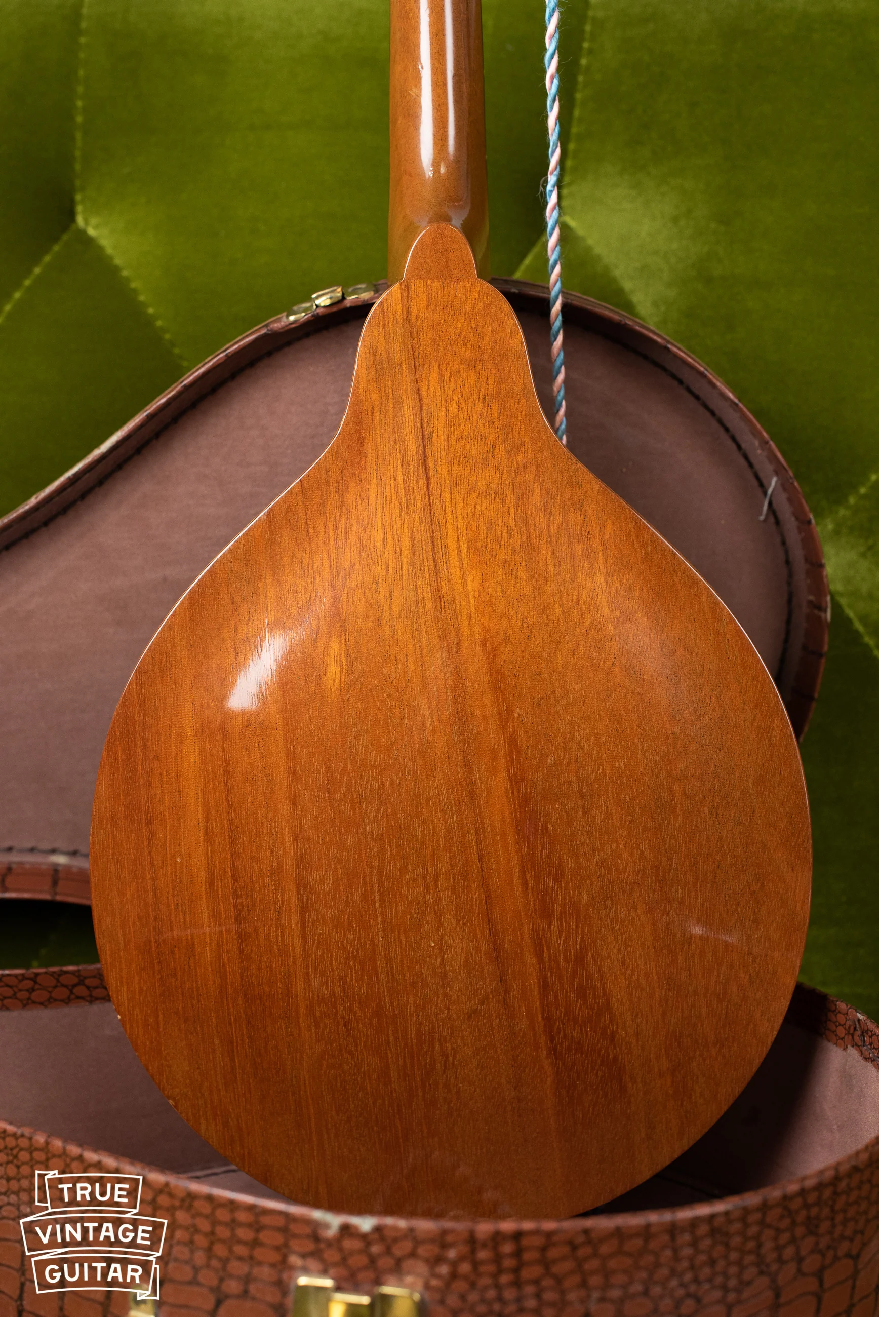 1957 Gibson A-40N Mandolin - Image 15
