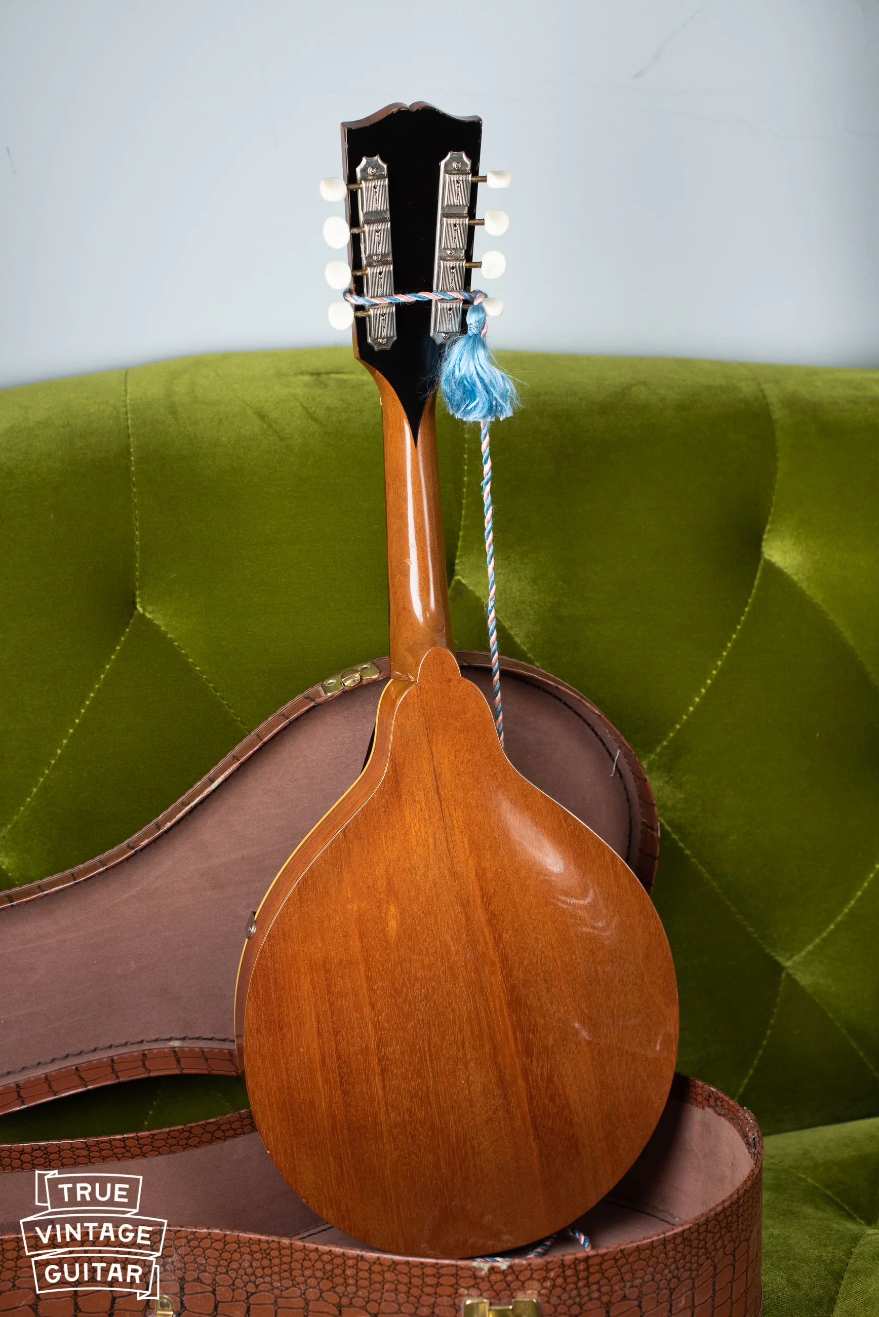 1957 Gibson A-40N Mandolin - Image 16