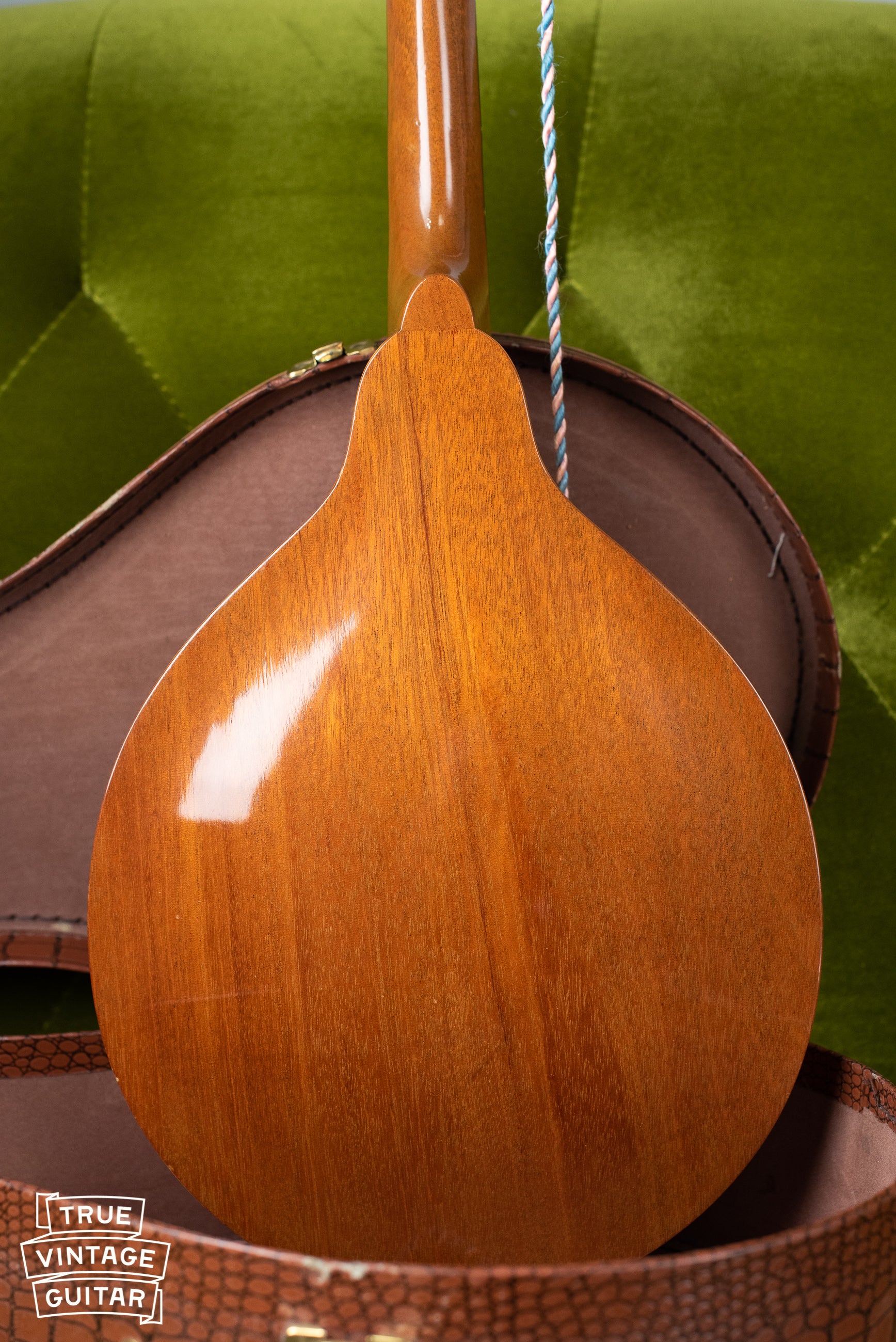 1957 Gibson A-40N Mandolin - Image 17