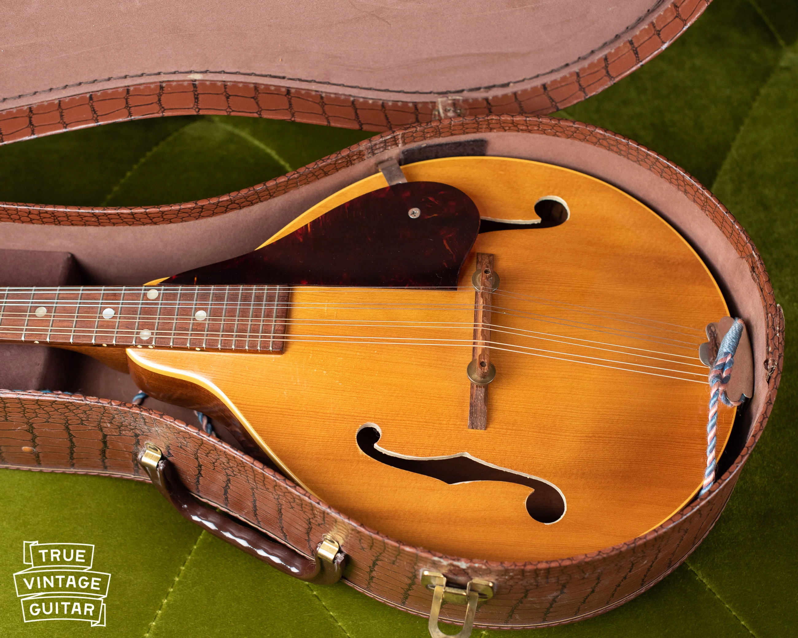 1957 Gibson A-40N Mandolin - Image 18