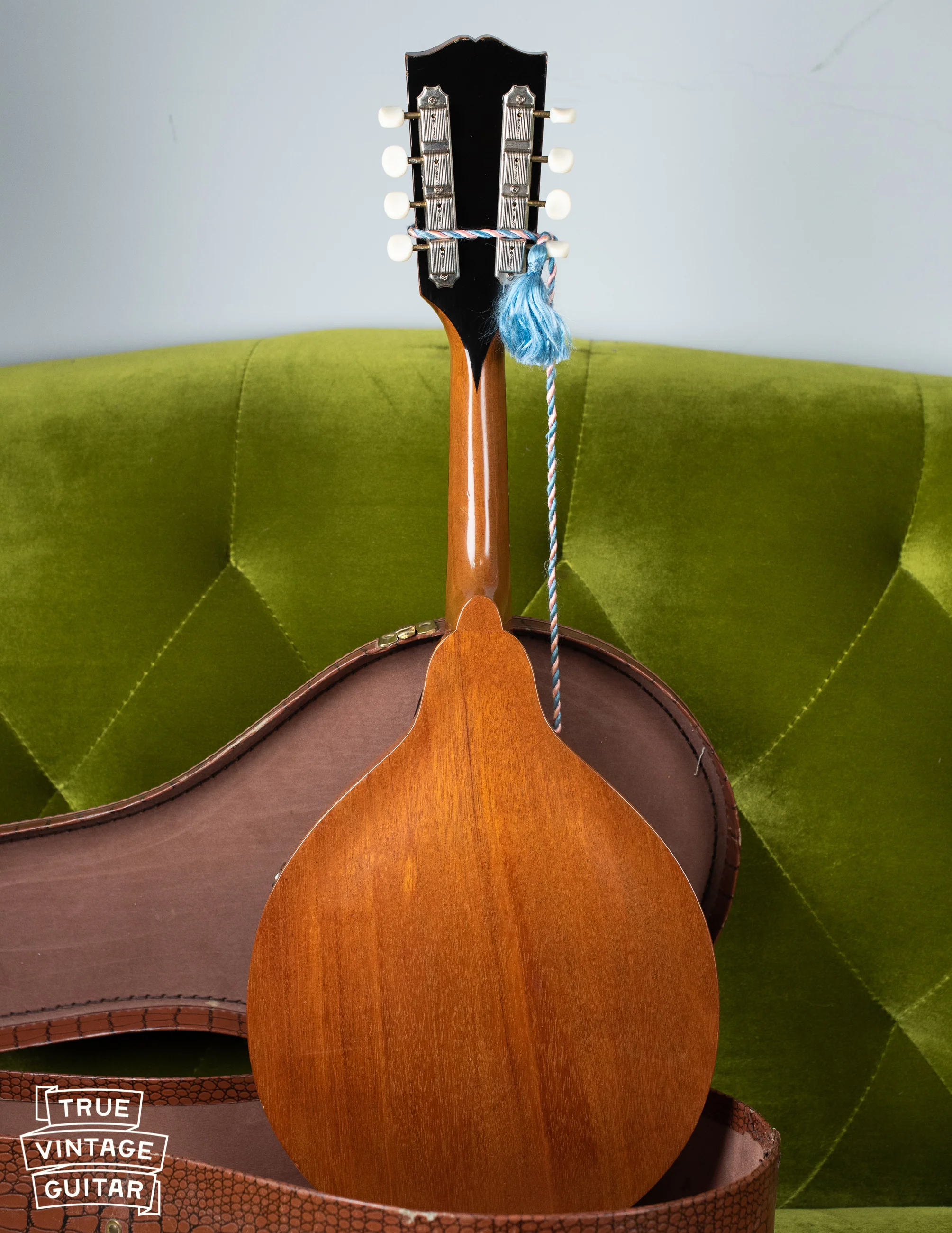 1957 Gibson A-40N Mandolin - Image 2