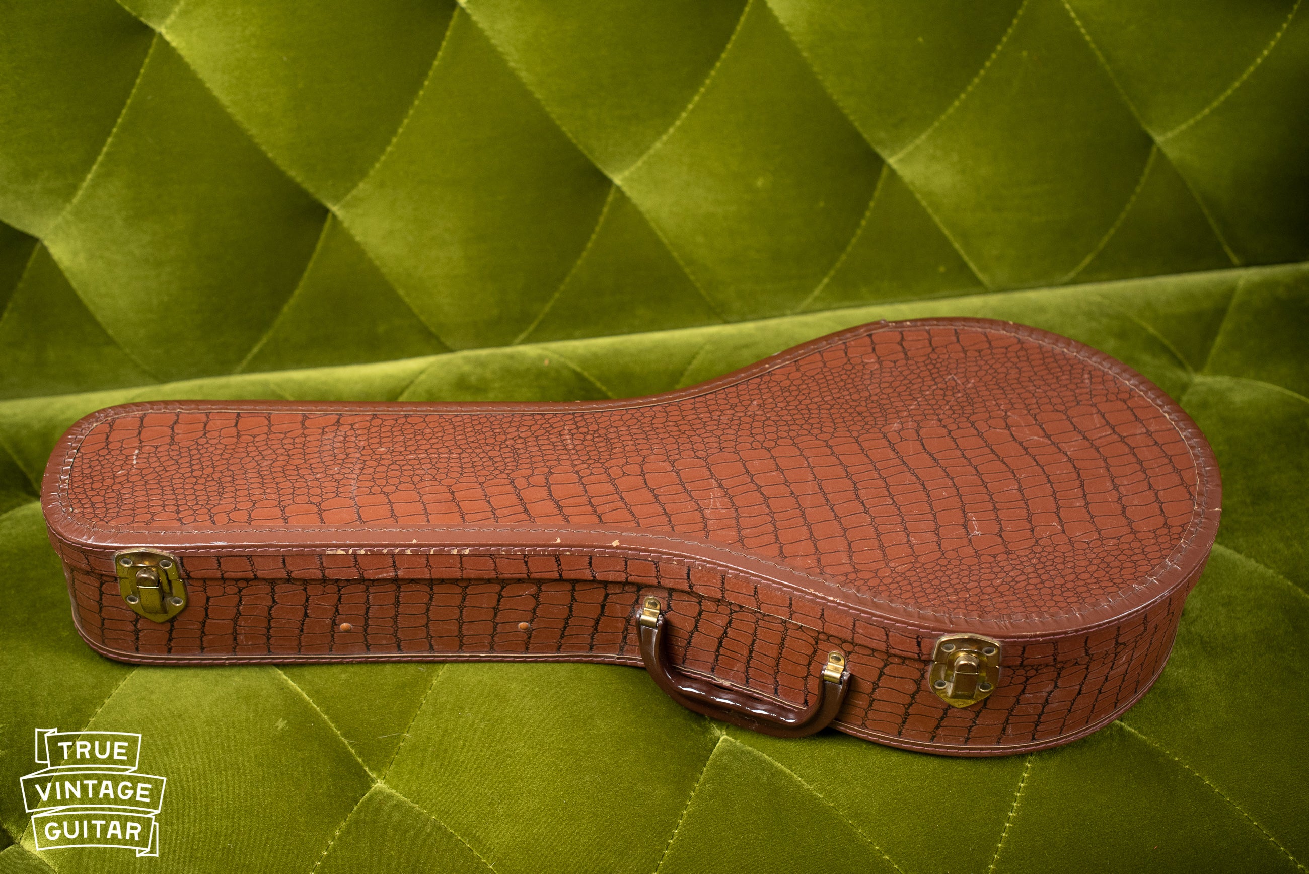 1957 Gibson A-40N Mandolin - Image 4