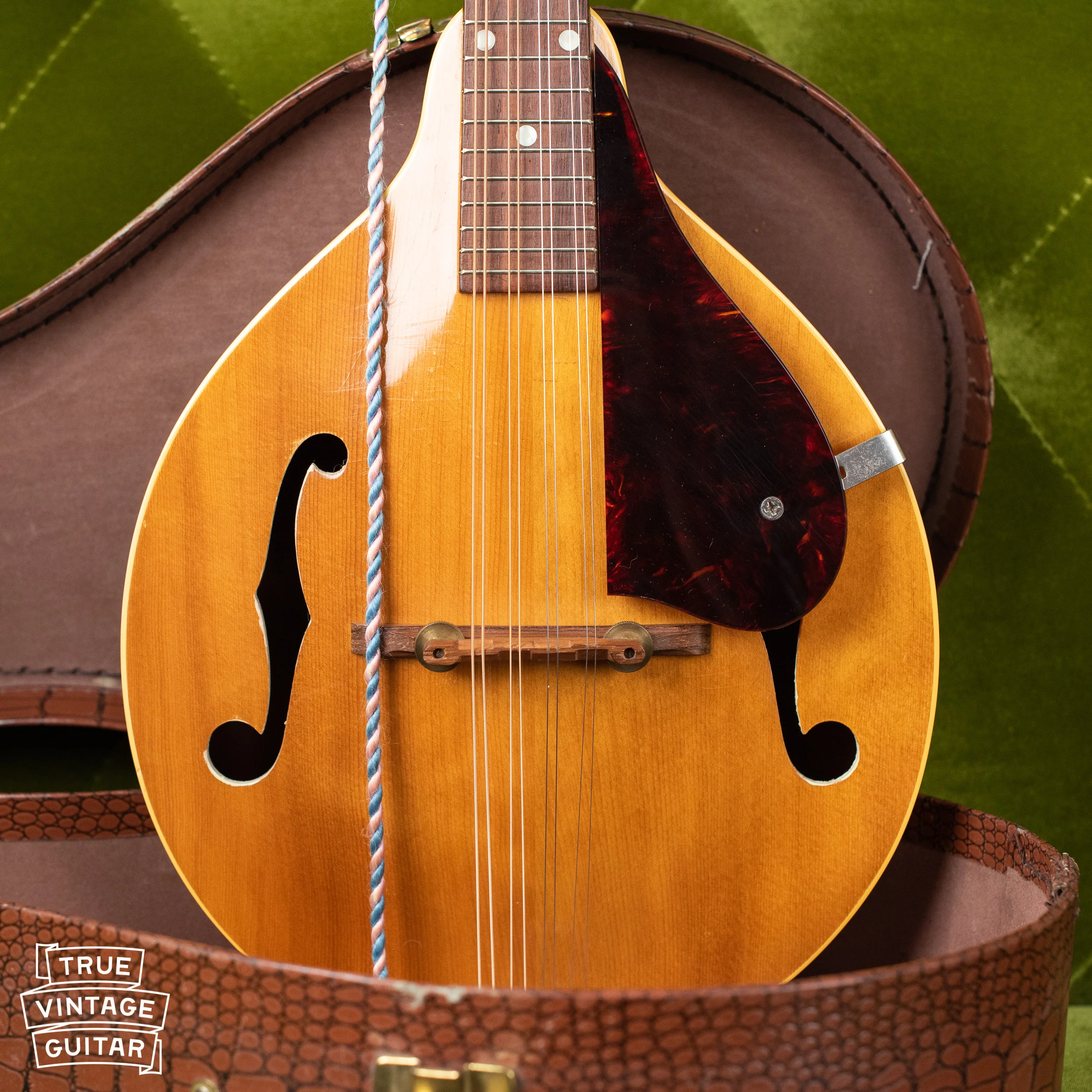1957 Gibson A-40N Mandolin - Image 6