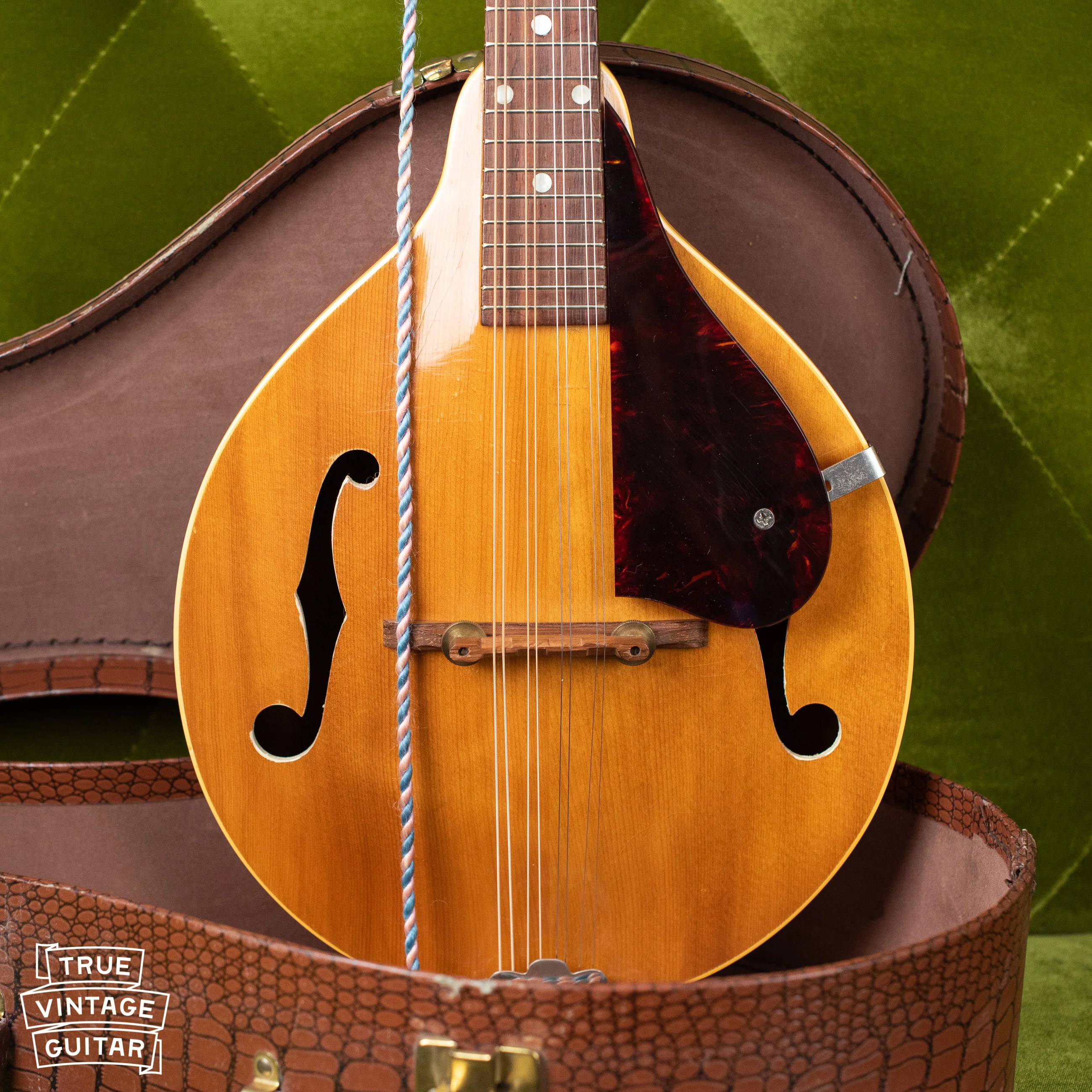 1957 Gibson A-40N Mandolin - Image 7