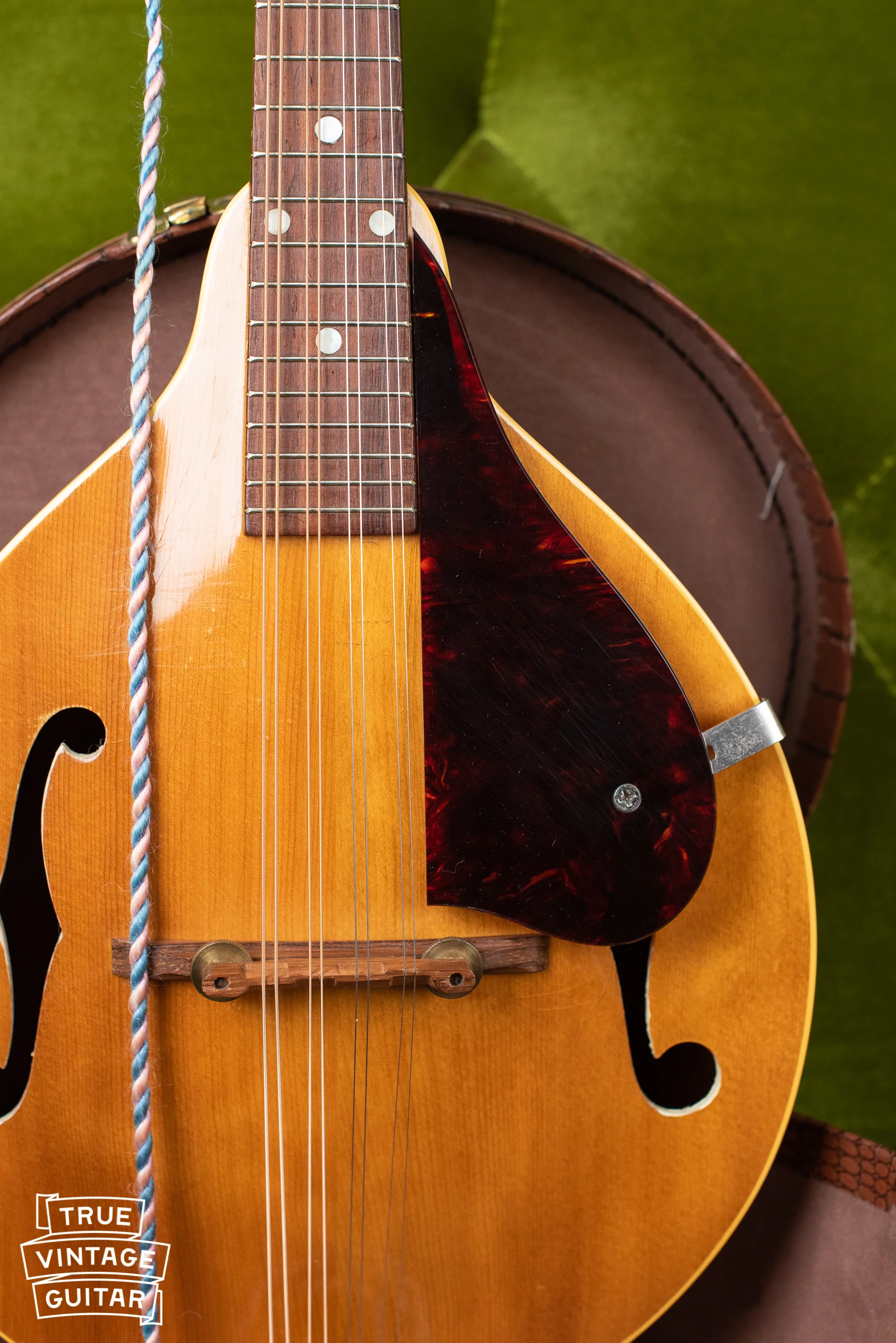 1957 Gibson A-40N Mandolin - Image 8