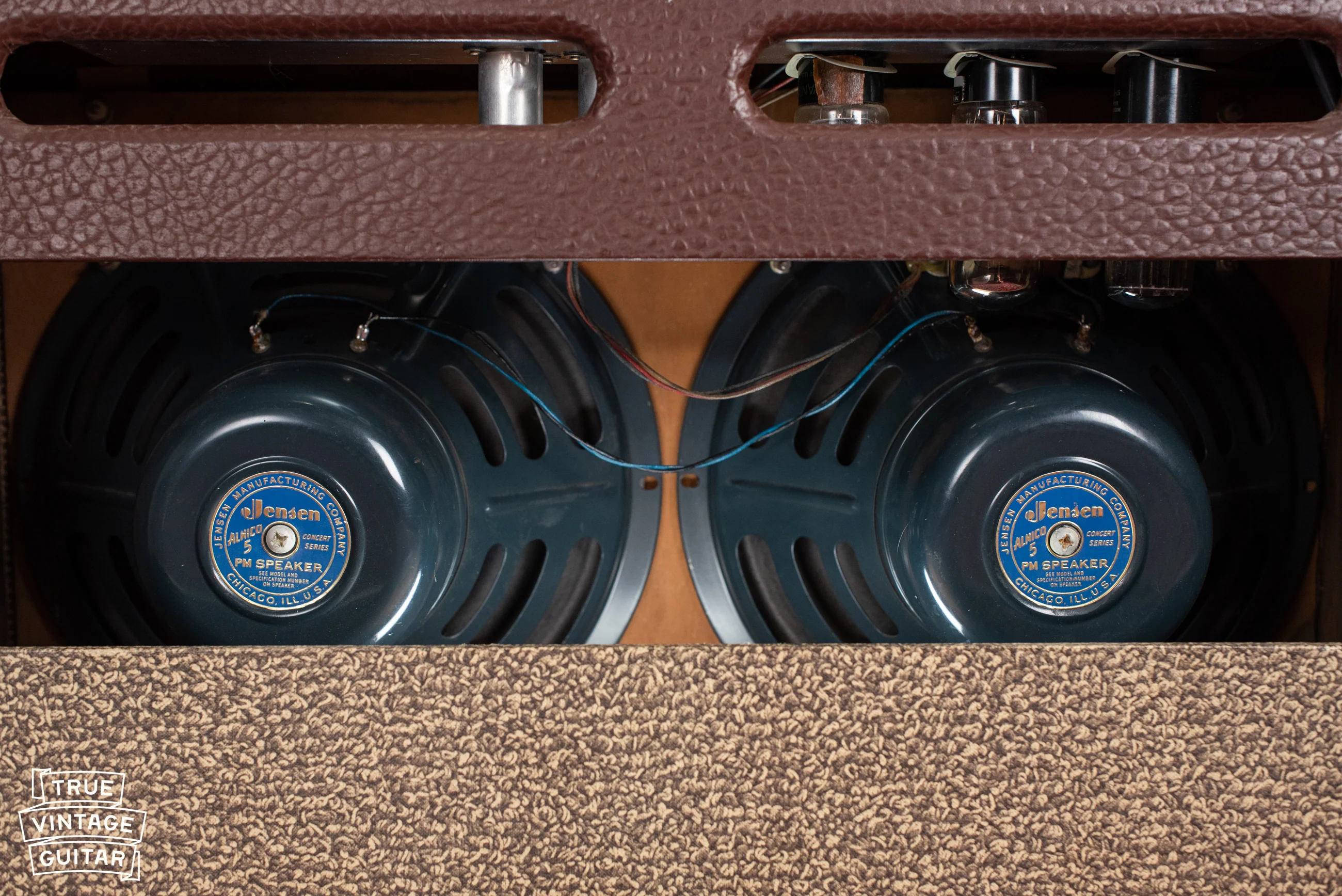 1957 Gibson GA-55 Guitar Amplifier - Image 19