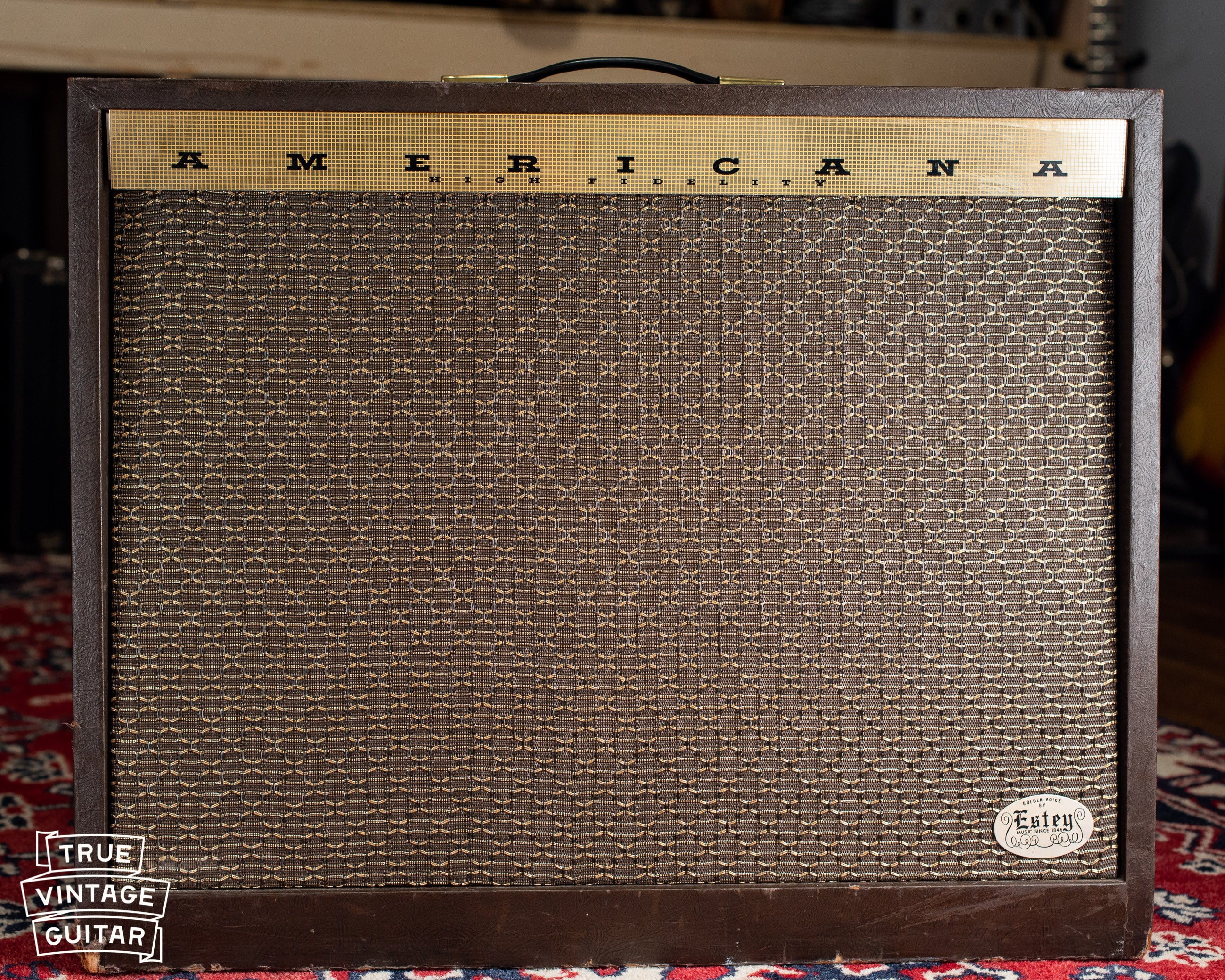 1963 Magnatone Americana 262B Custom