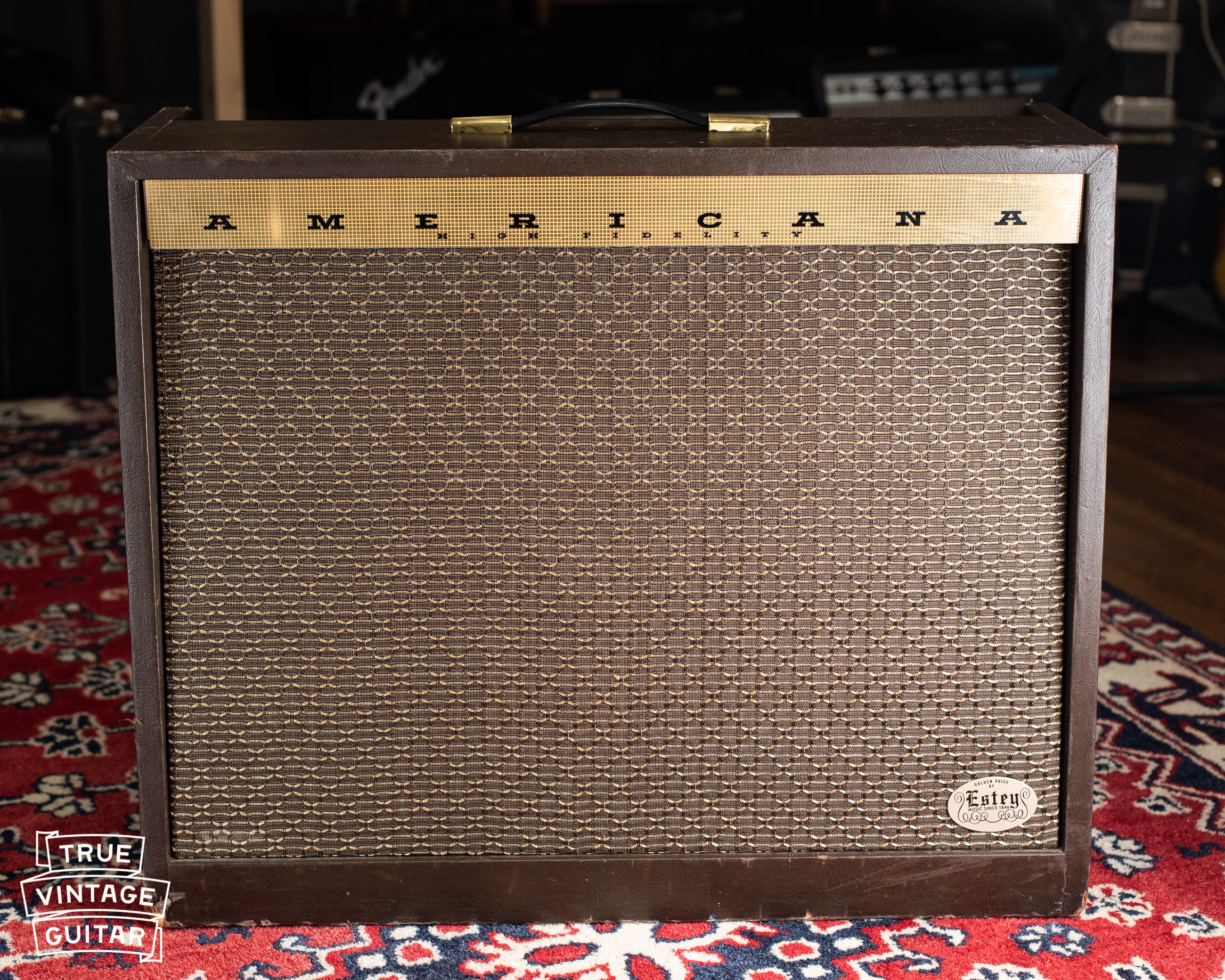 1963 Magnatone Americana 262B Custom - Image 11