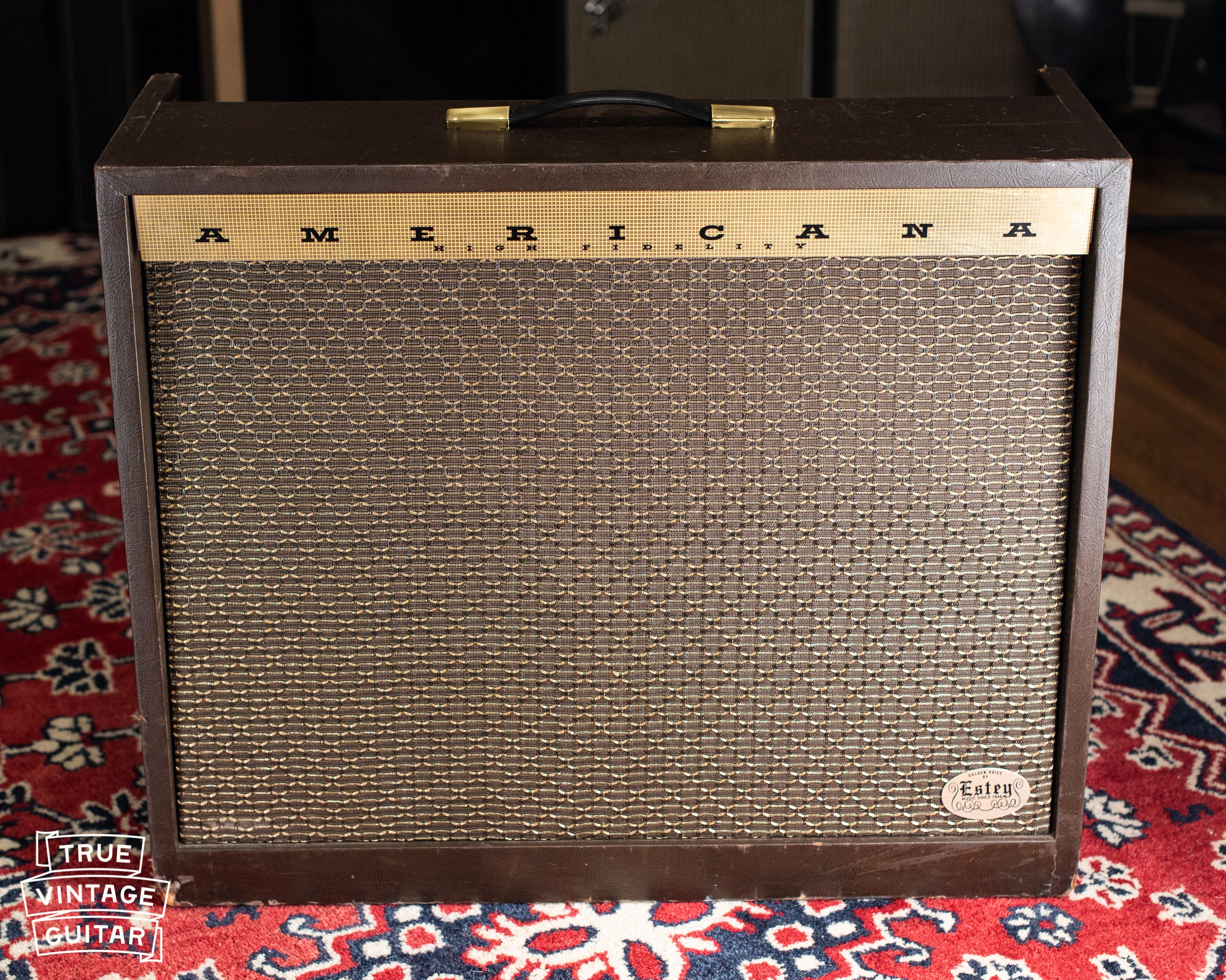 1963 Magnatone Americana 262B Custom - Image 12