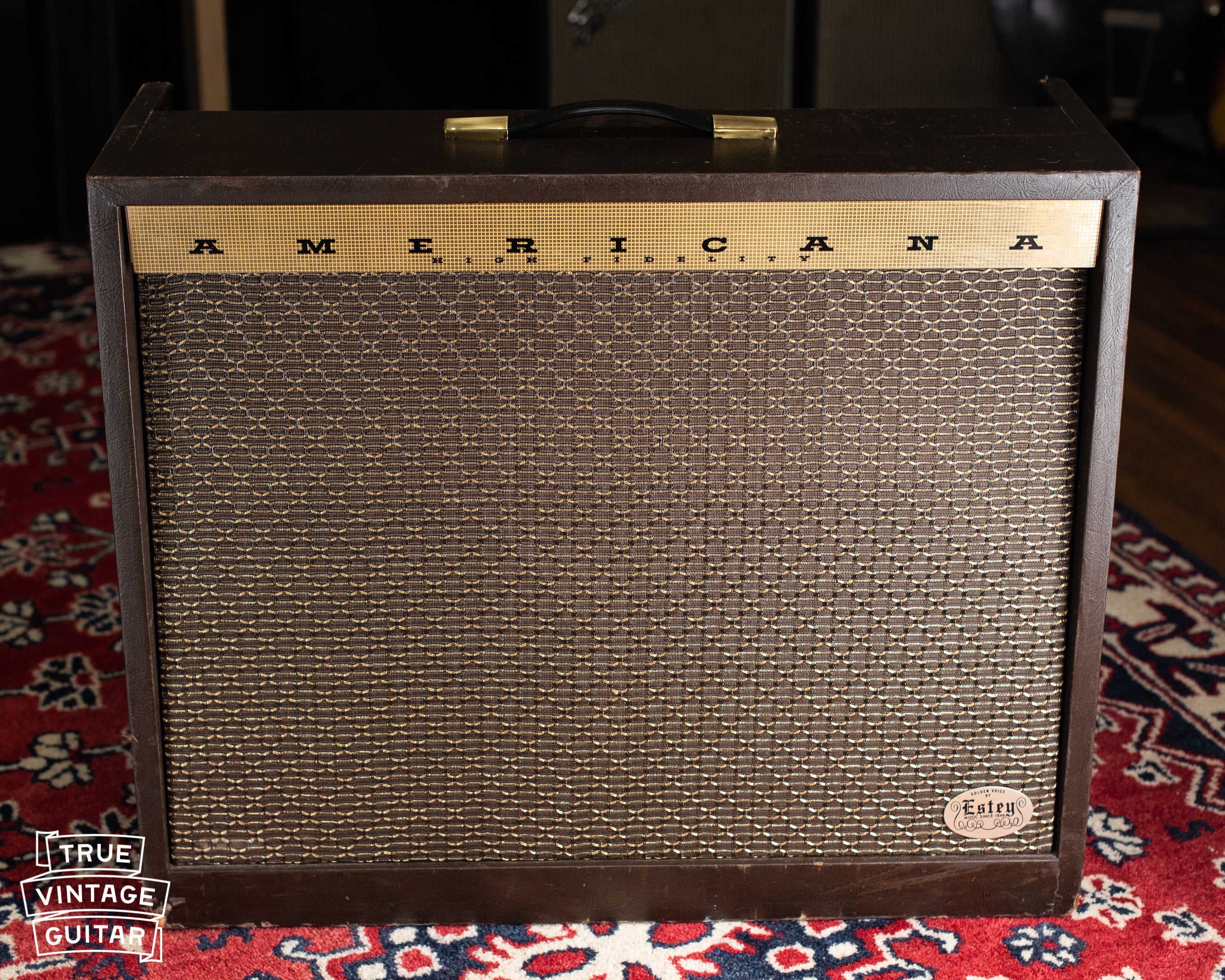 1963 Magnatone Americana 262B Custom - Image 13