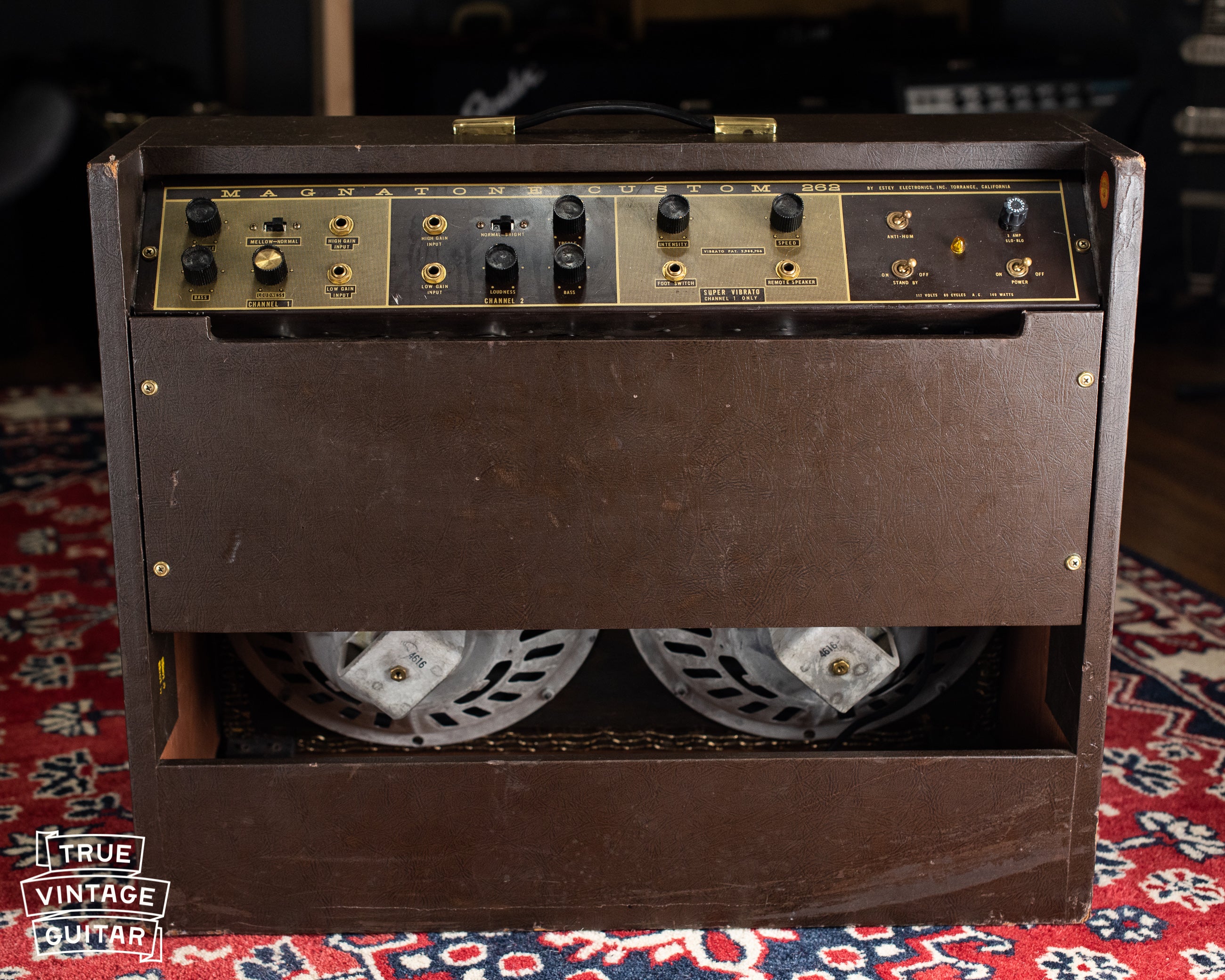 1963 Magnatone Americana 262B Custom - Image 14