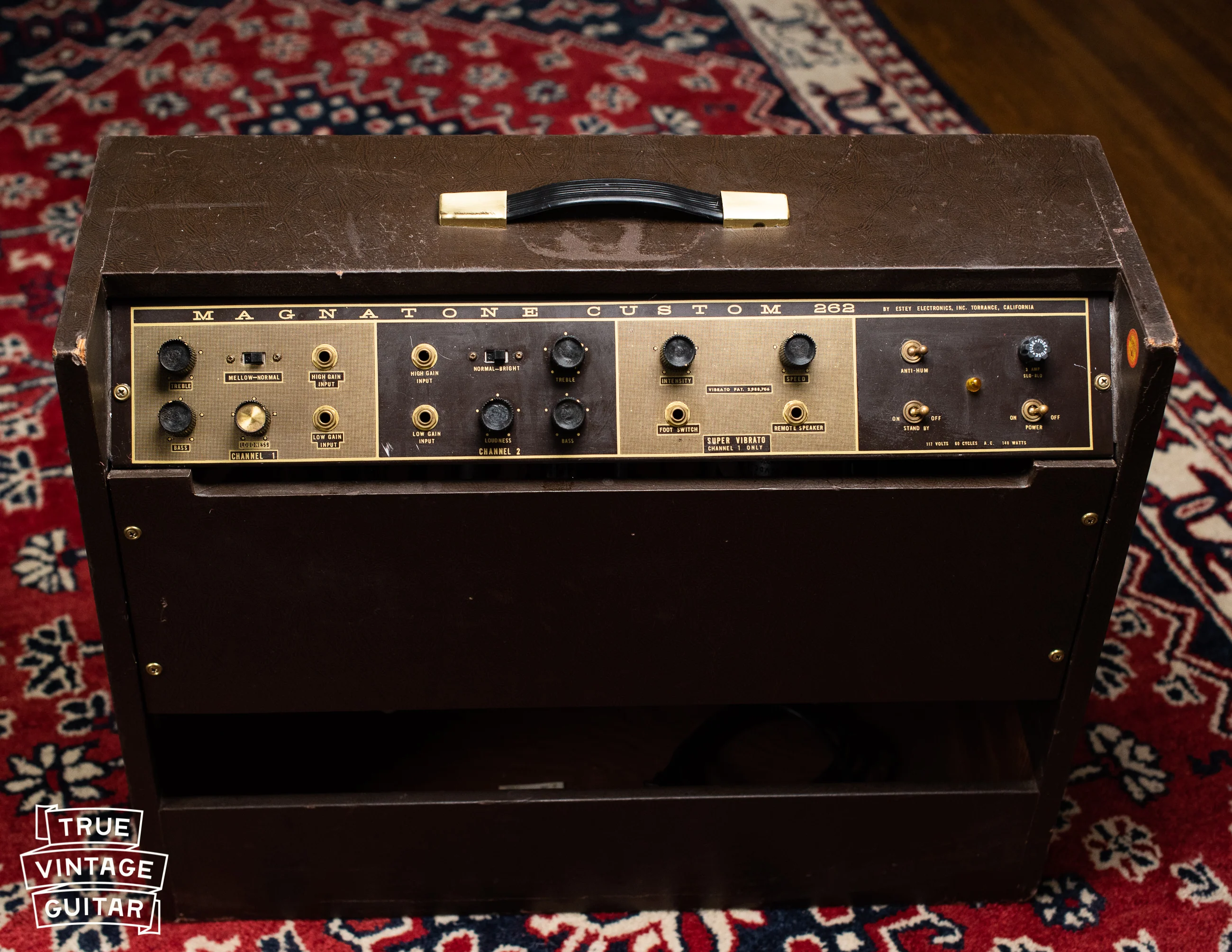 1963 Magnatone Americana 262B Custom - Image 15