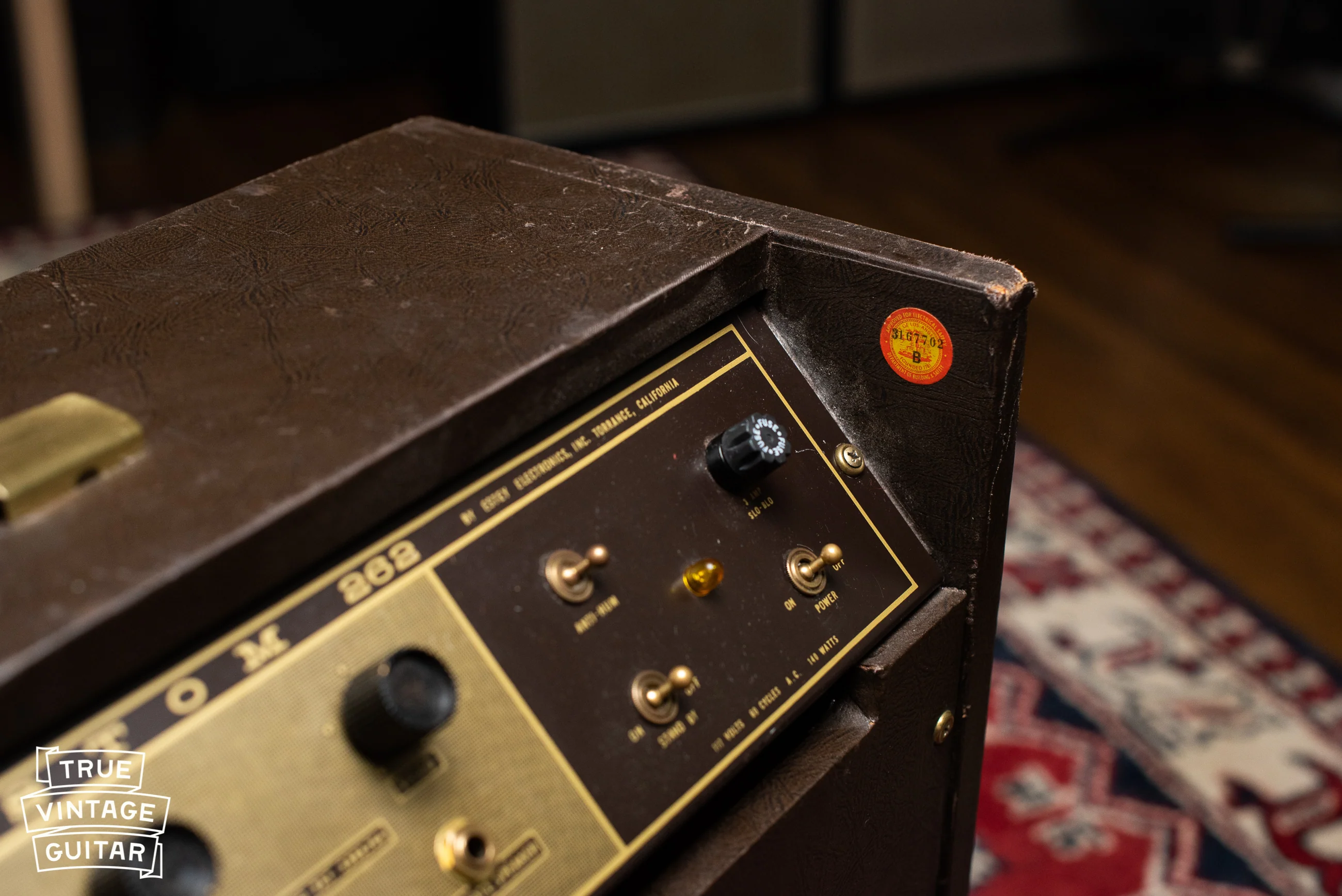 1963 Magnatone Americana 262B Custom - Image 16