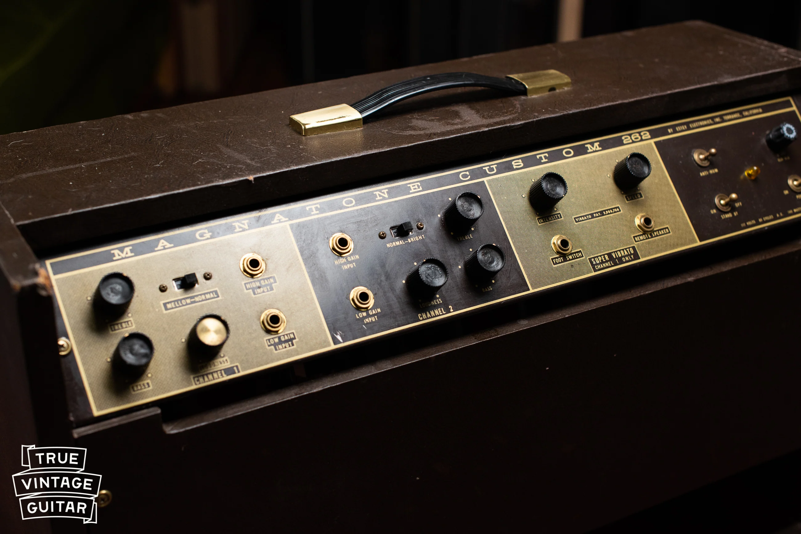 1963 Magnatone Americana 262B Custom - Image 17