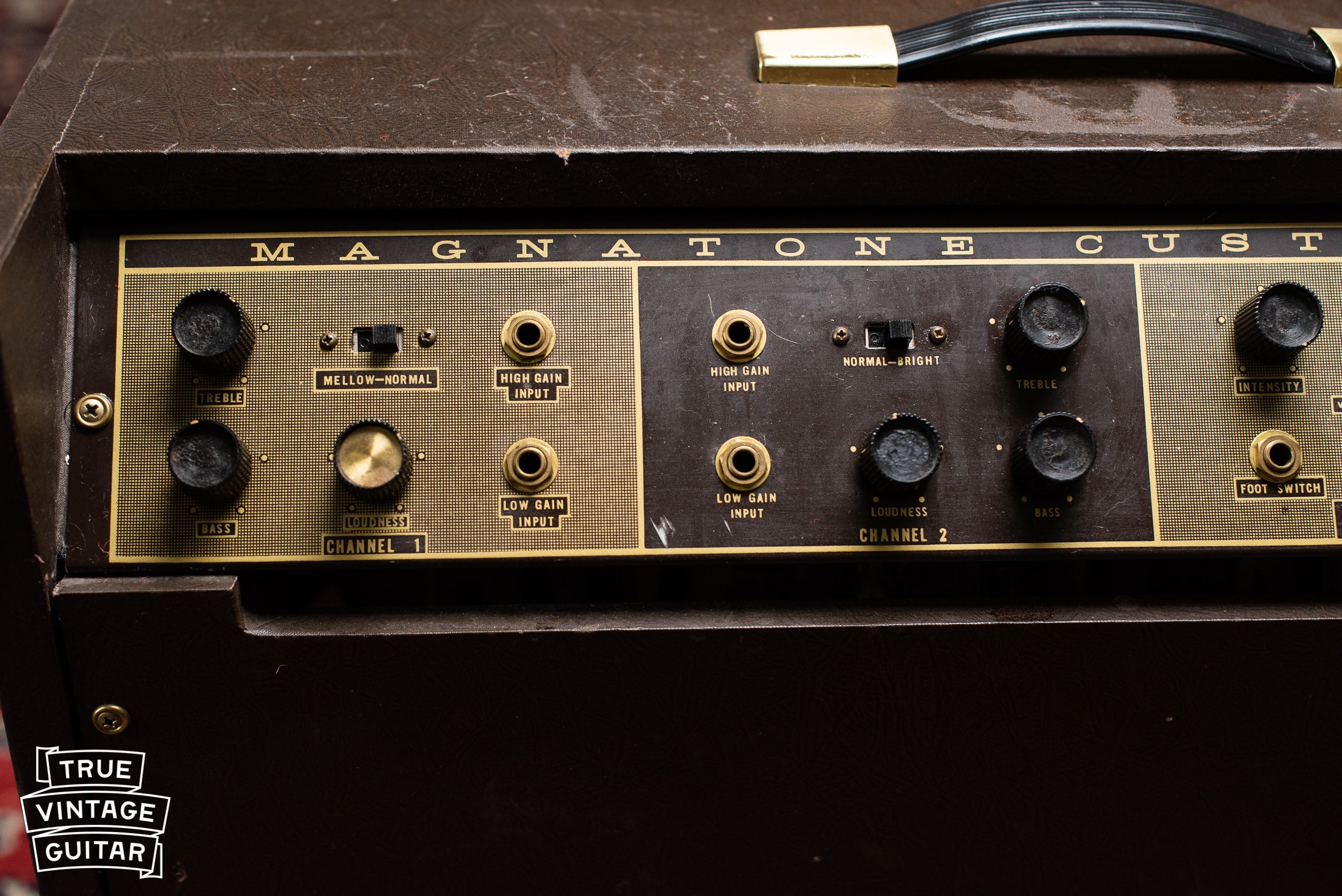 1963 Magnatone Americana 262B Custom - Image 18
