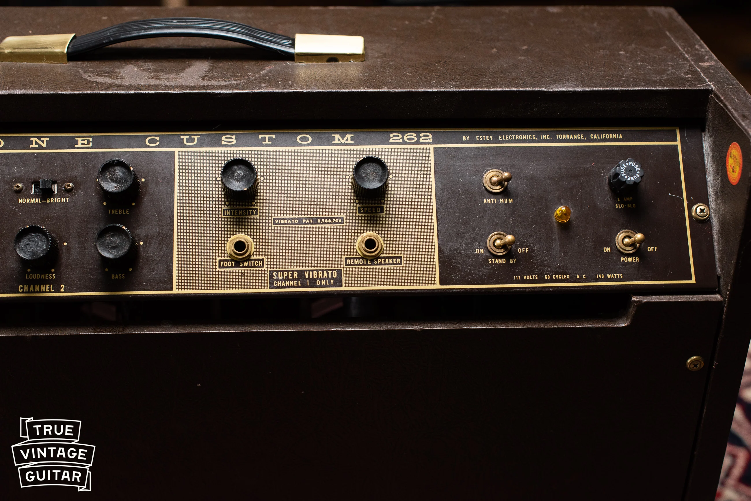 1963 Magnatone Americana 262B Custom - Image 19