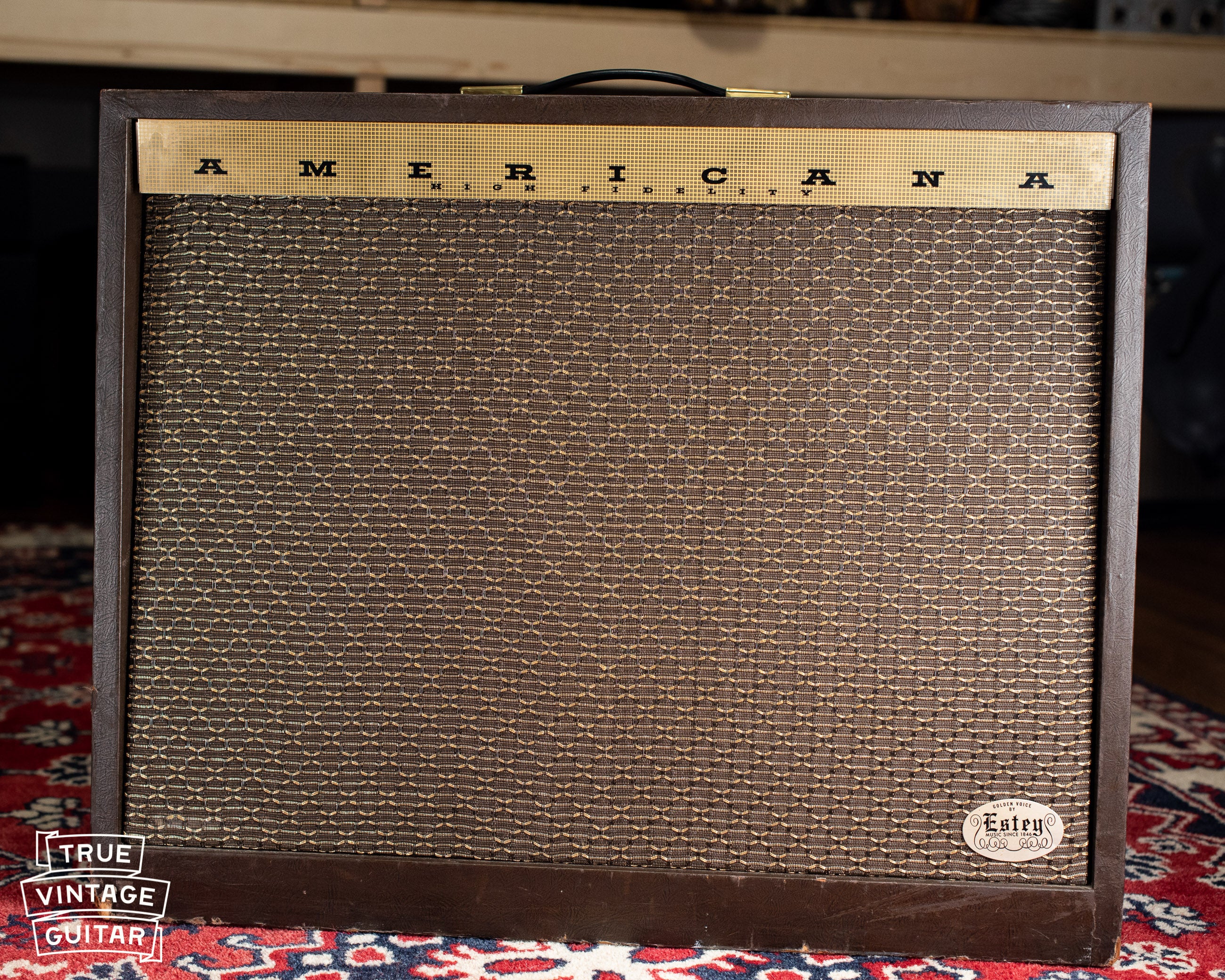 1963 Magnatone Americana 262B Custom - Image 2