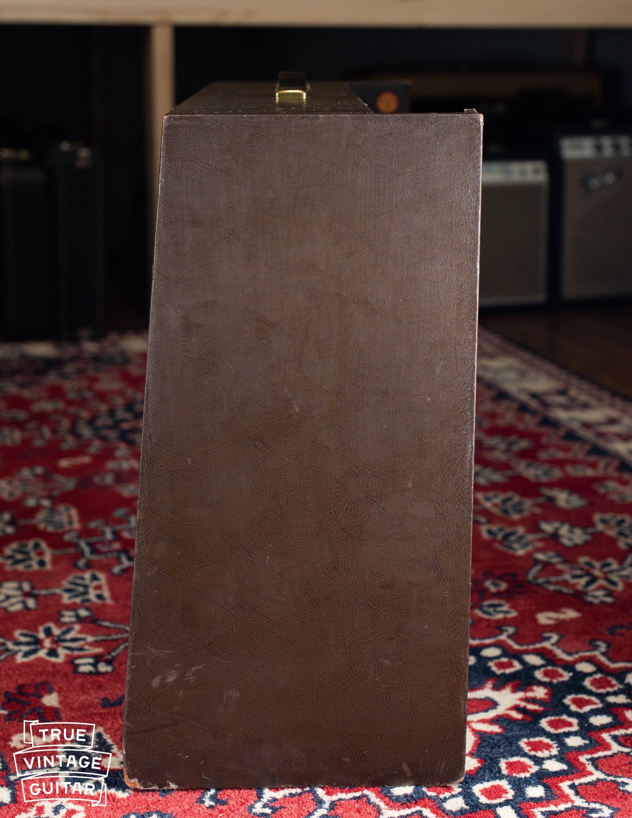 1963 Magnatone Americana 262B Custom - Image 20