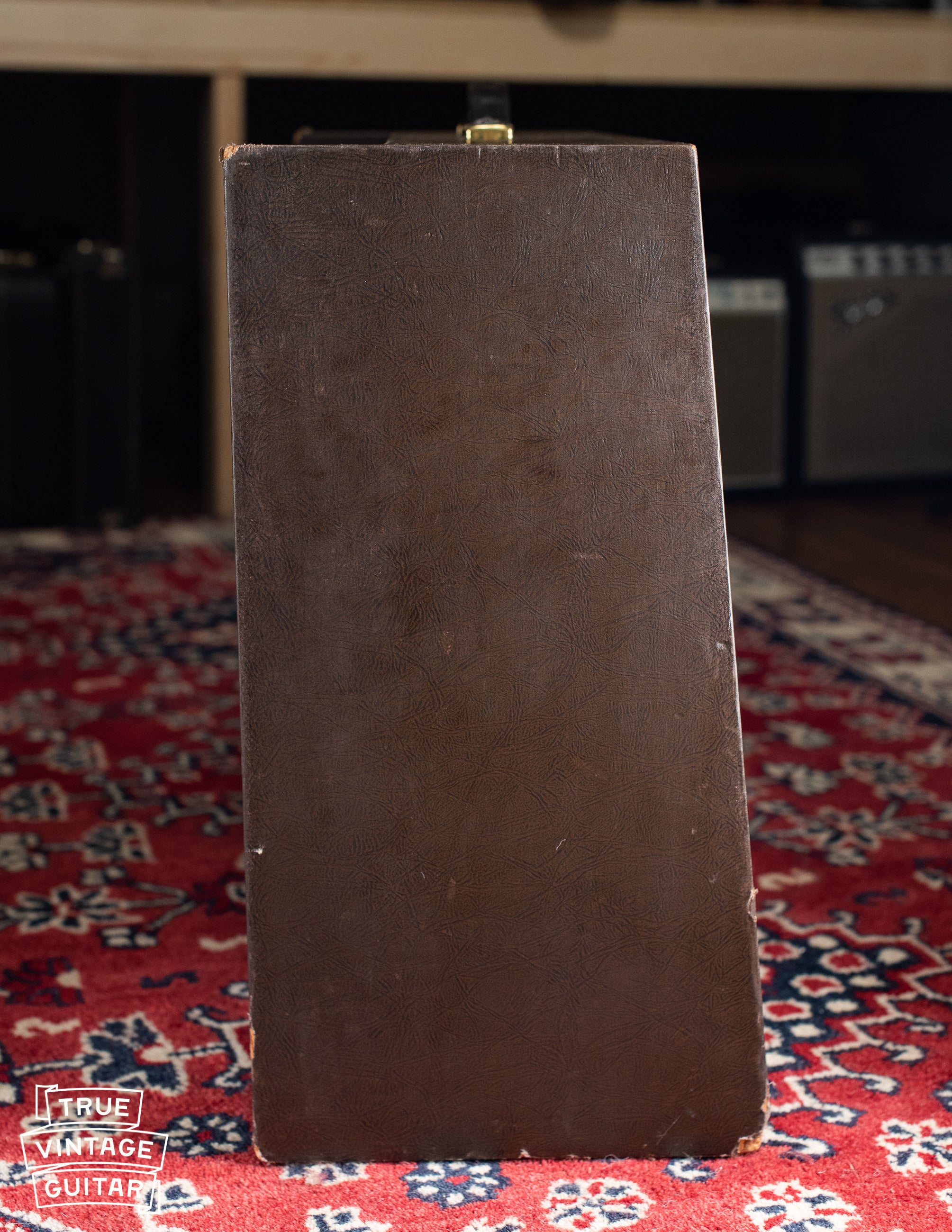 1963 Magnatone Americana 262B Custom - Image 21