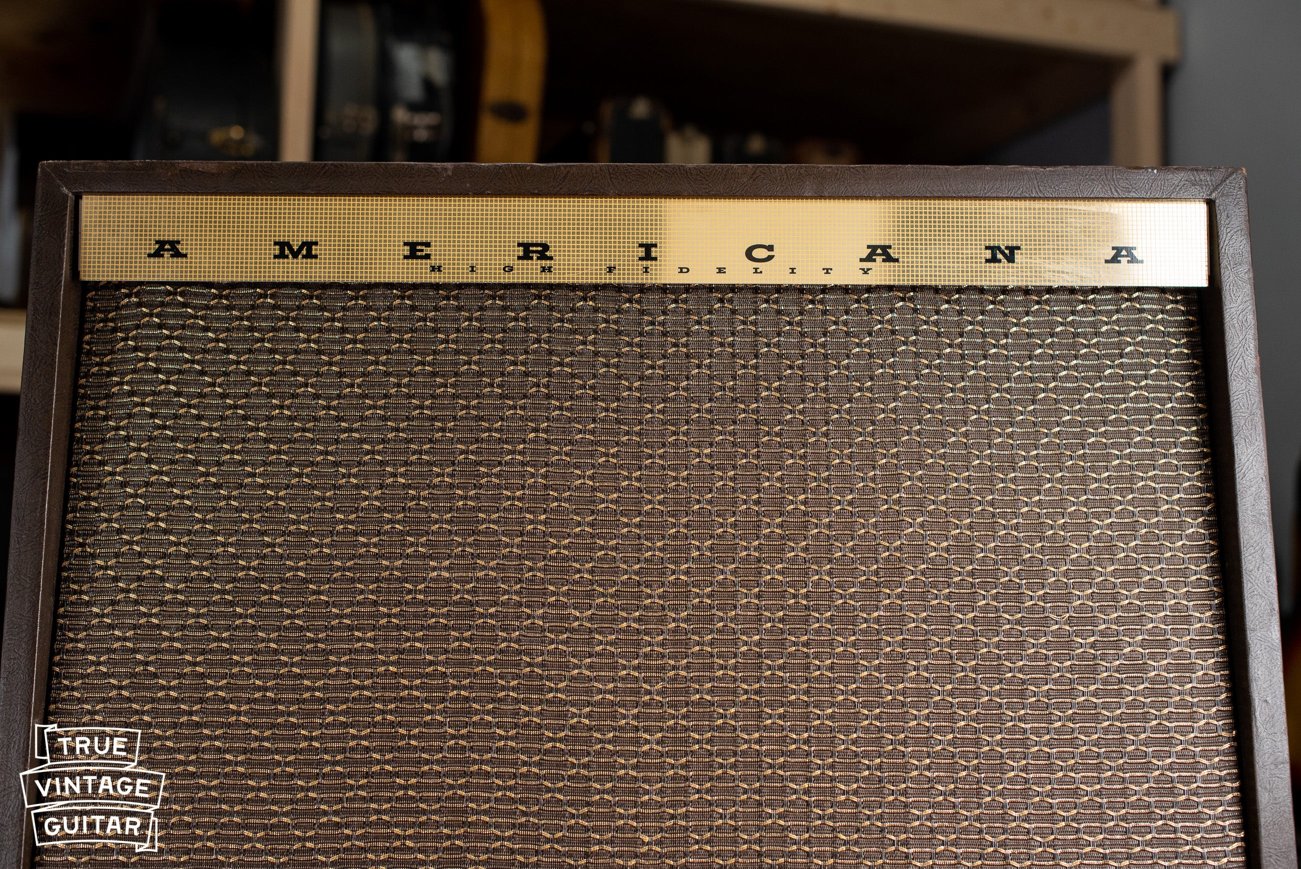1963 Magnatone Americana 262B Custom - Image 3