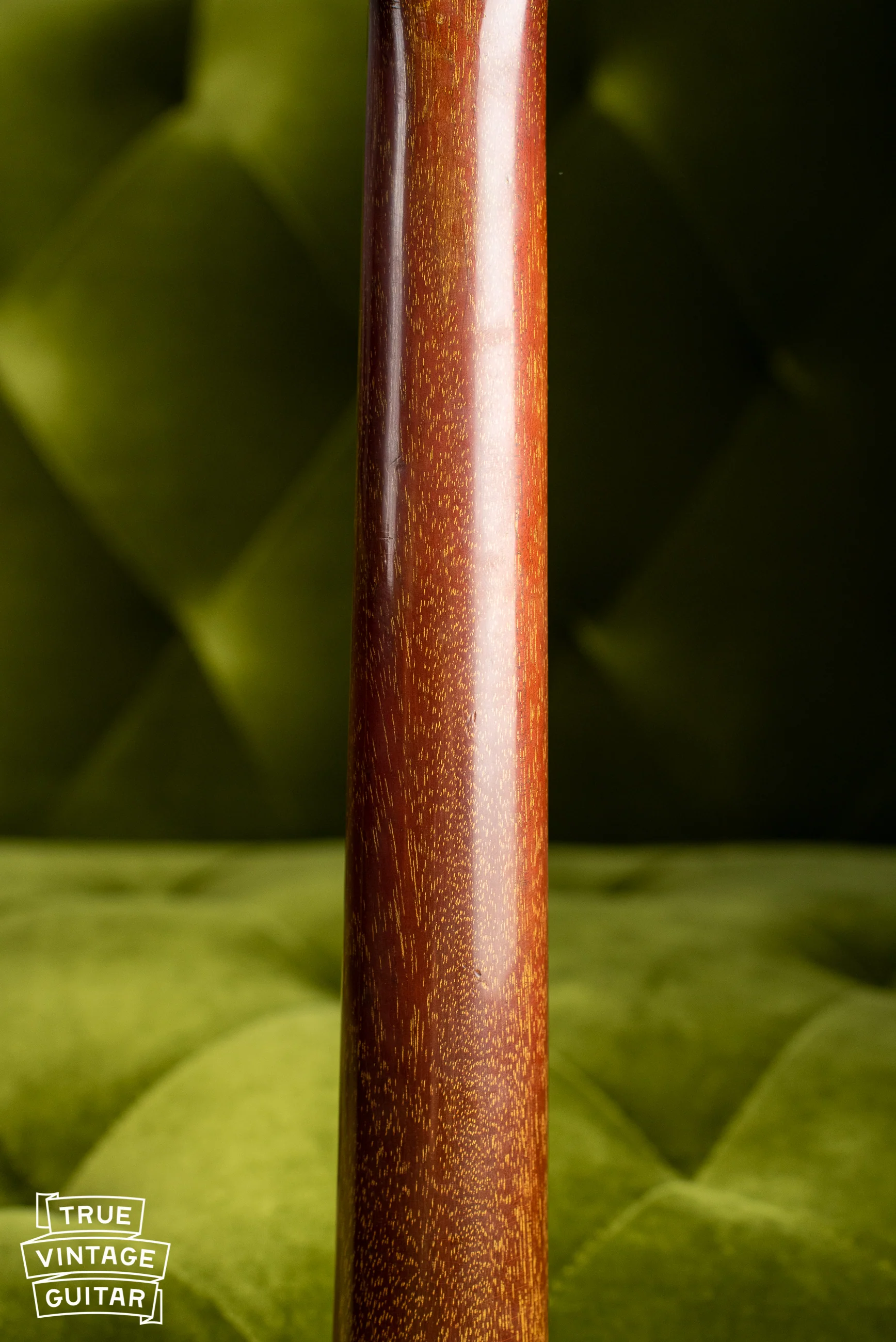 1965 Epiphone Wilshire Red Fox - Image 15