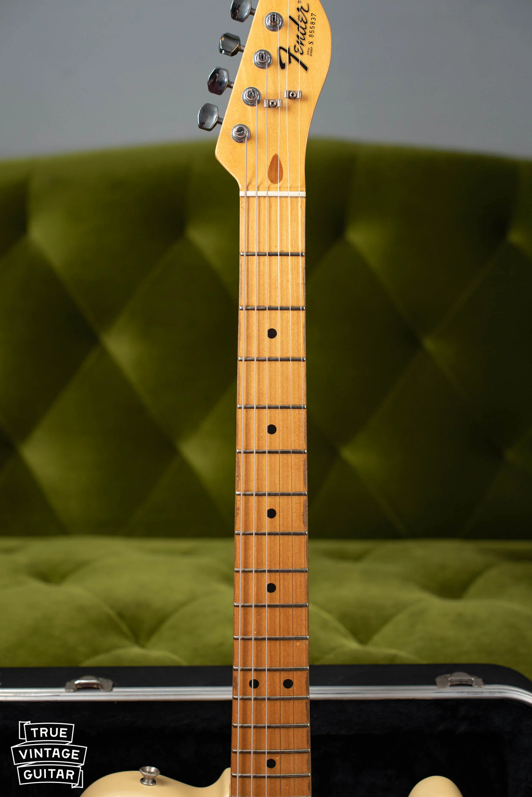 1982 Fender Telecaster Arctic White - Image 13