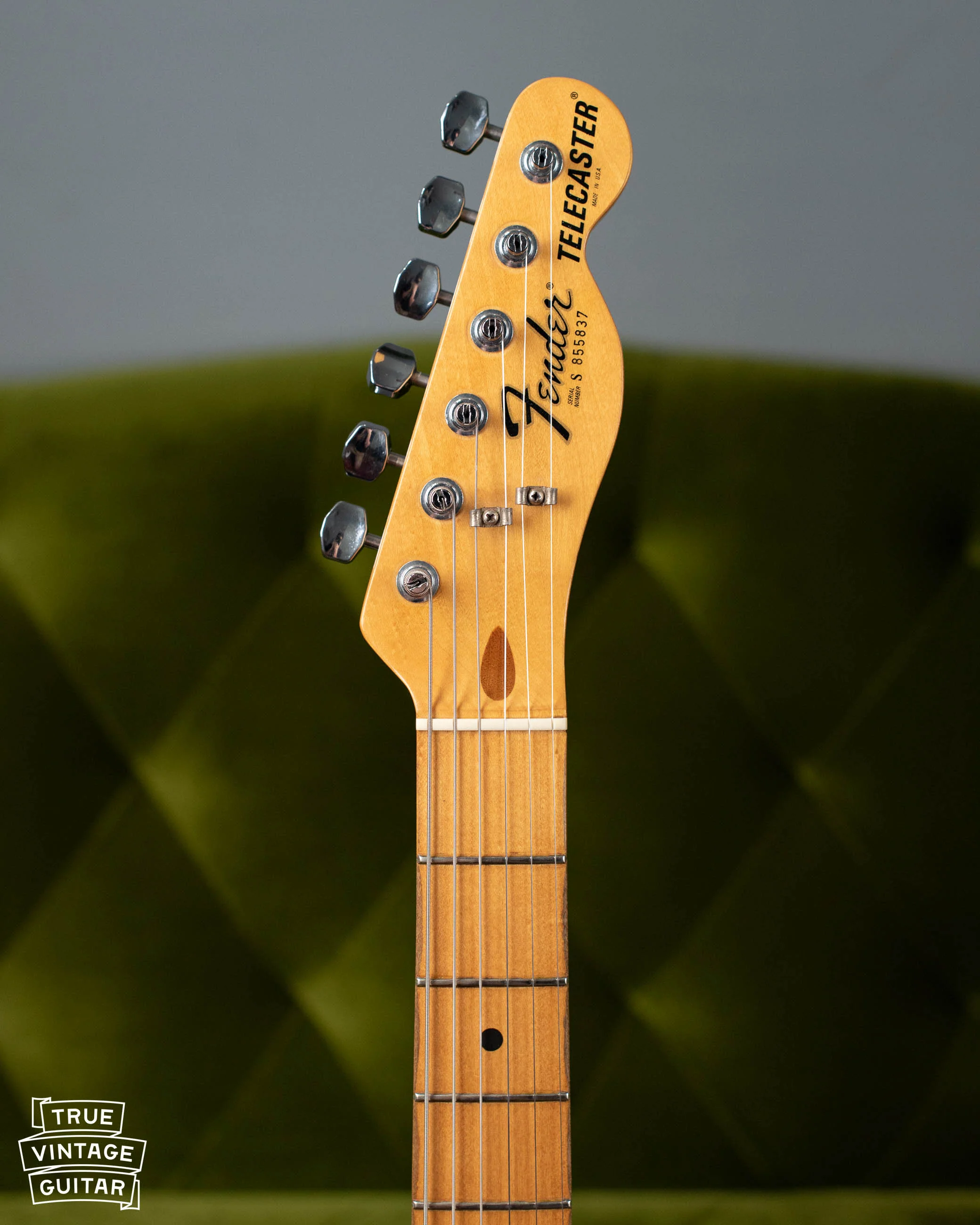 1982 Fender Telecaster Arctic White - Image 5