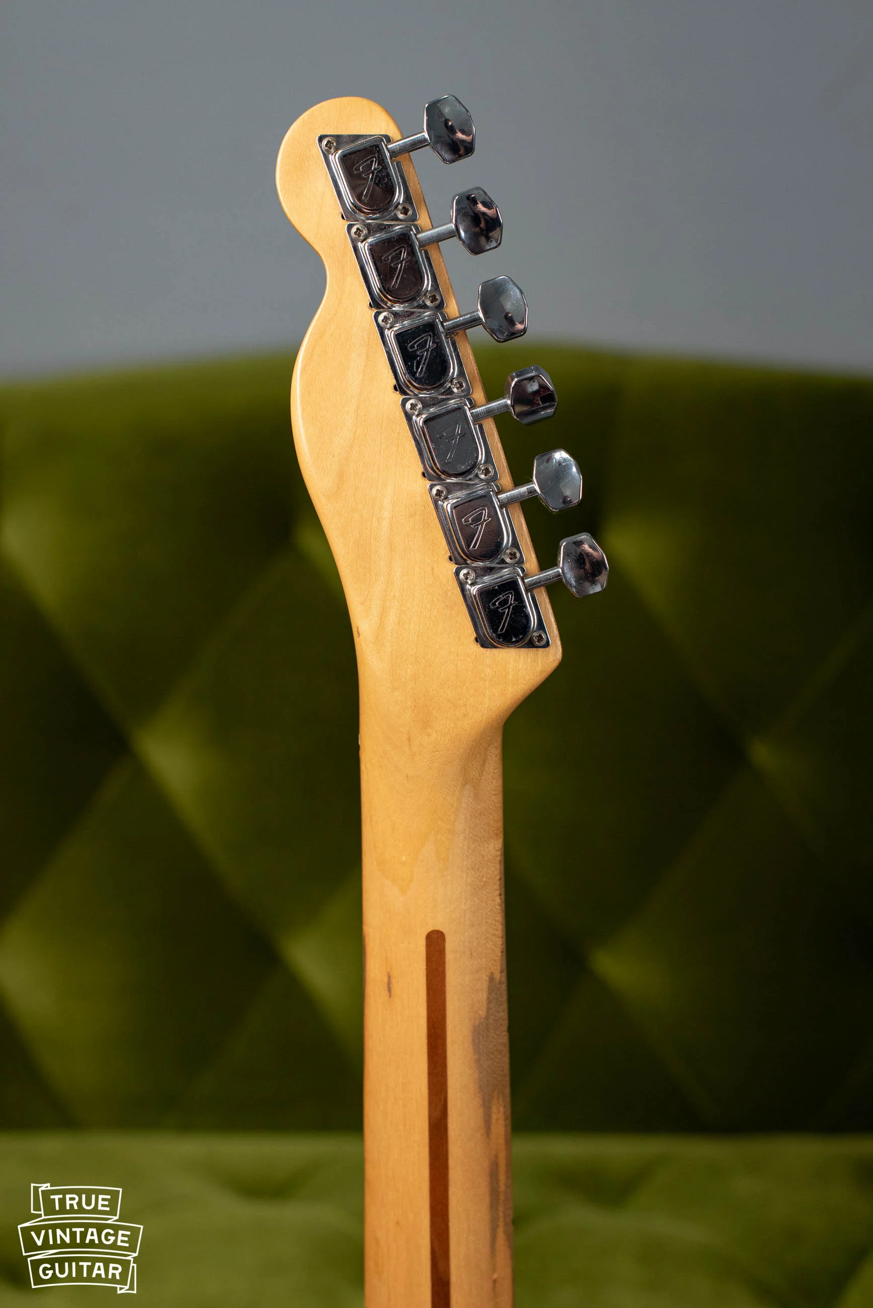 1982 Fender Telecaster Arctic White - Image 6
